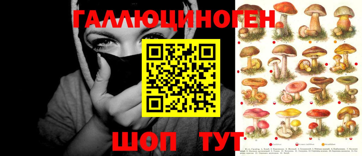 Заводоуковск  Галлюциногенные грибы мухоморы  как найти закладки  Вход с VPN  Псилоцибиновые грибы Psilocybe 